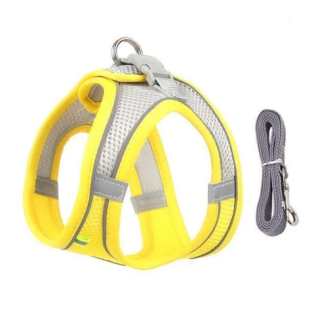 Adjustable Harness and Leash Set for Small Dogs and Cats