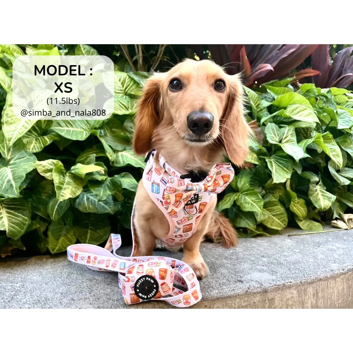 Adjustable Harness - Asian Snacks