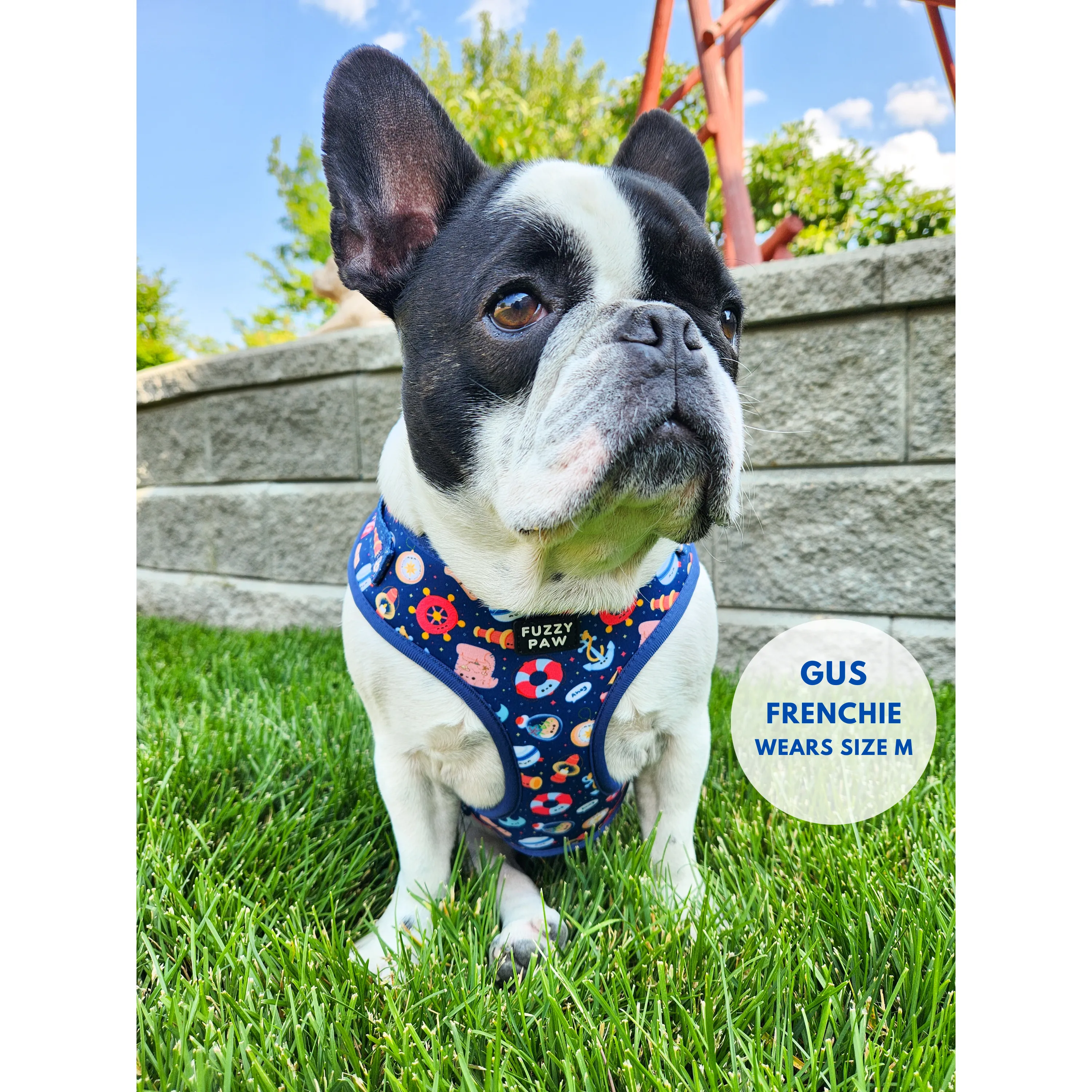 Adjustable Harness - Paws Aboard