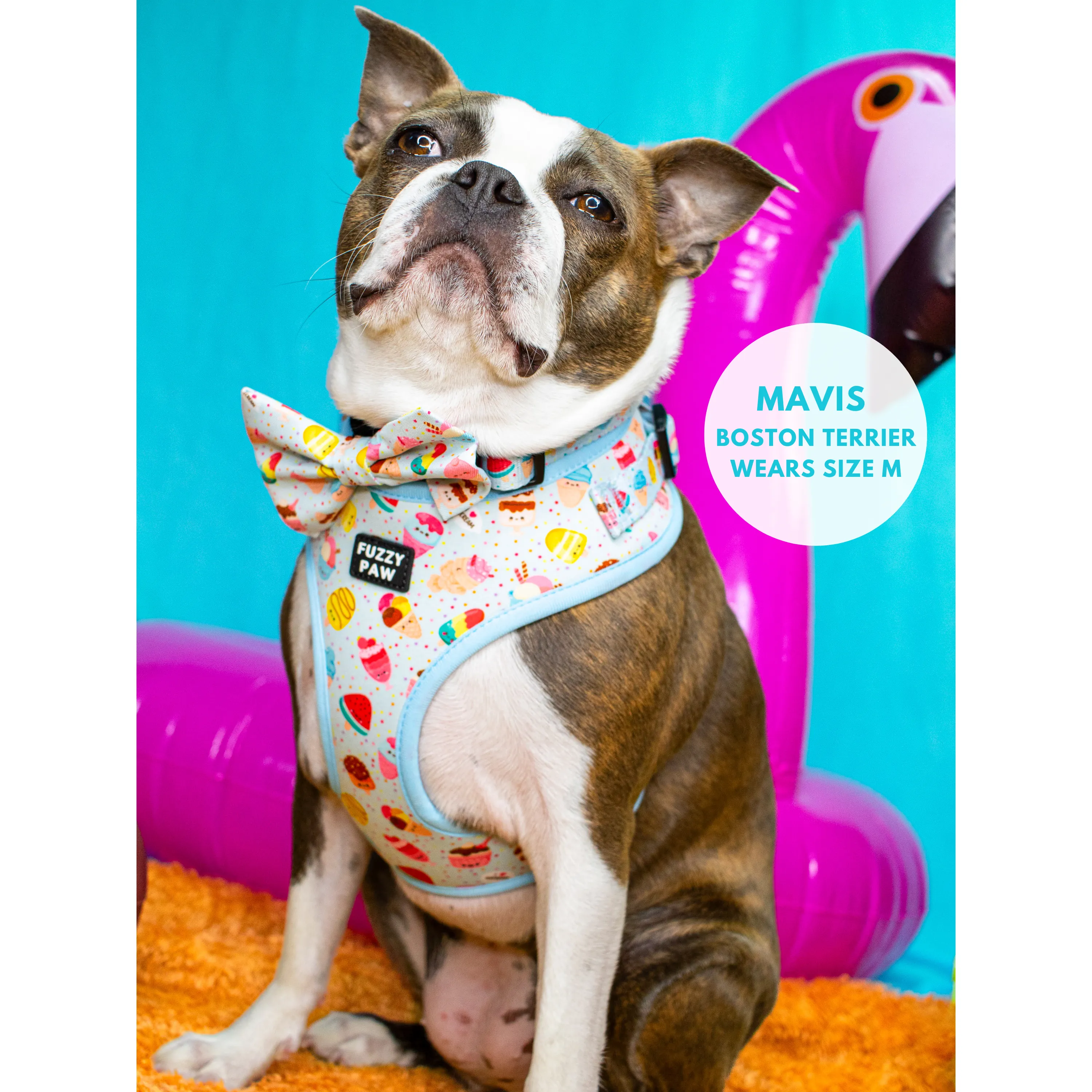Adjustable Harness - Sweetest Scoops
