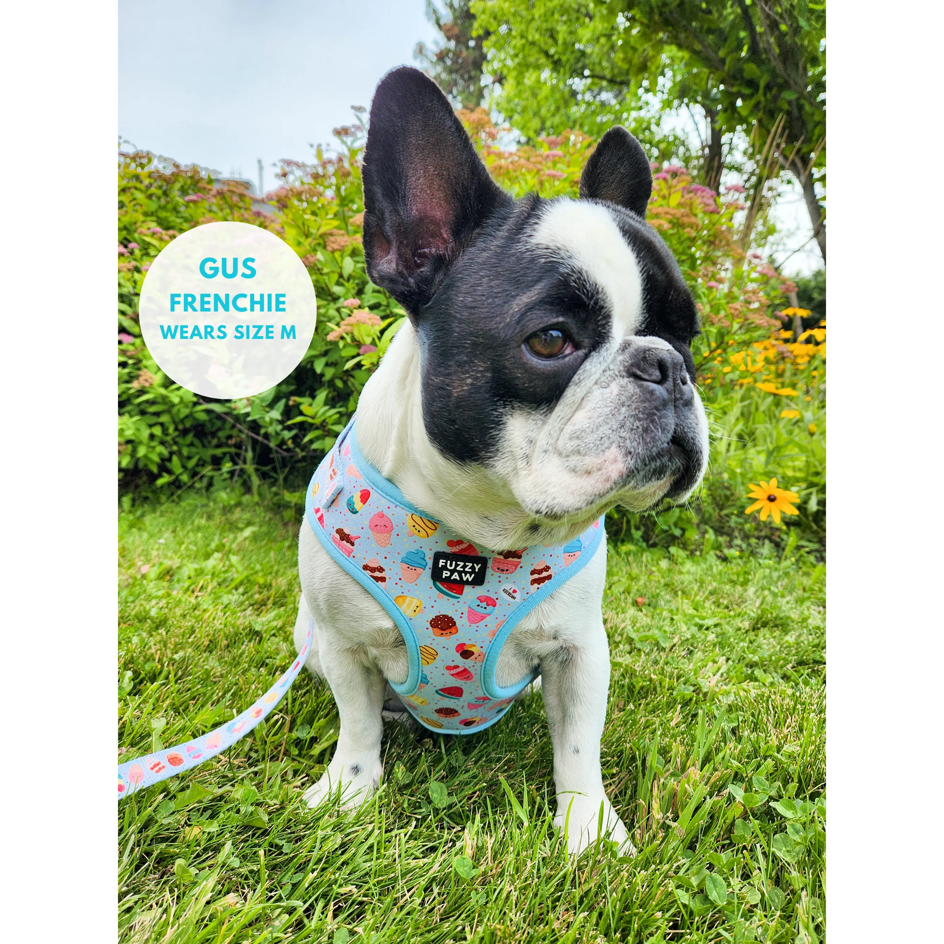 Adjustable Harness - Sweetest Scoops