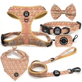 All Smiles - Deluxe Adjustable Set