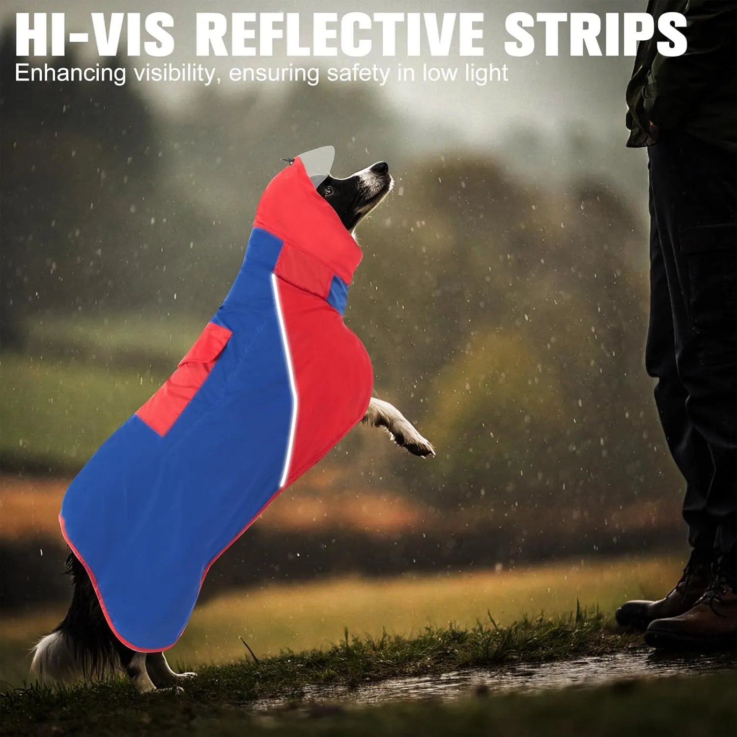 BINGPET Dog Raincoat - Adjustable, Waterproof & Snowproof Rain Jacket for Medium & Large Dogs (Red-Blue, XL)