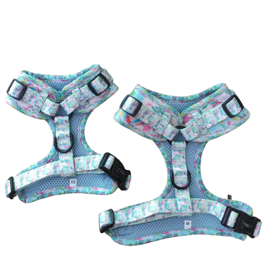Cockatoo Soiree Harness