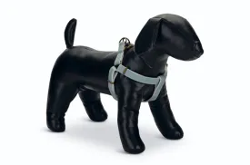 Designed By Lotte Nylon Harness Virante Mint 20mm X46-75cm