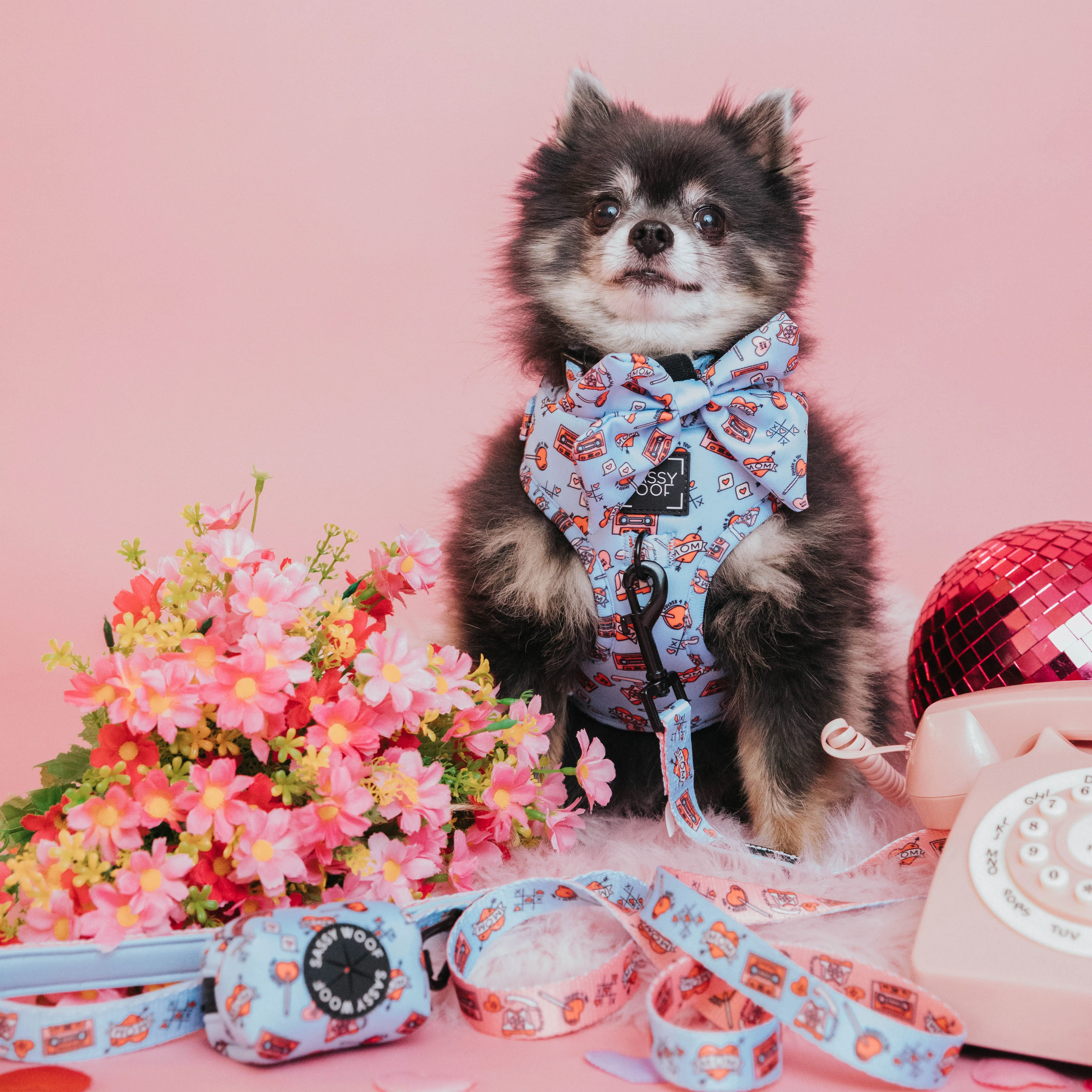 Dog Adjustable Harness - Heartbreaker