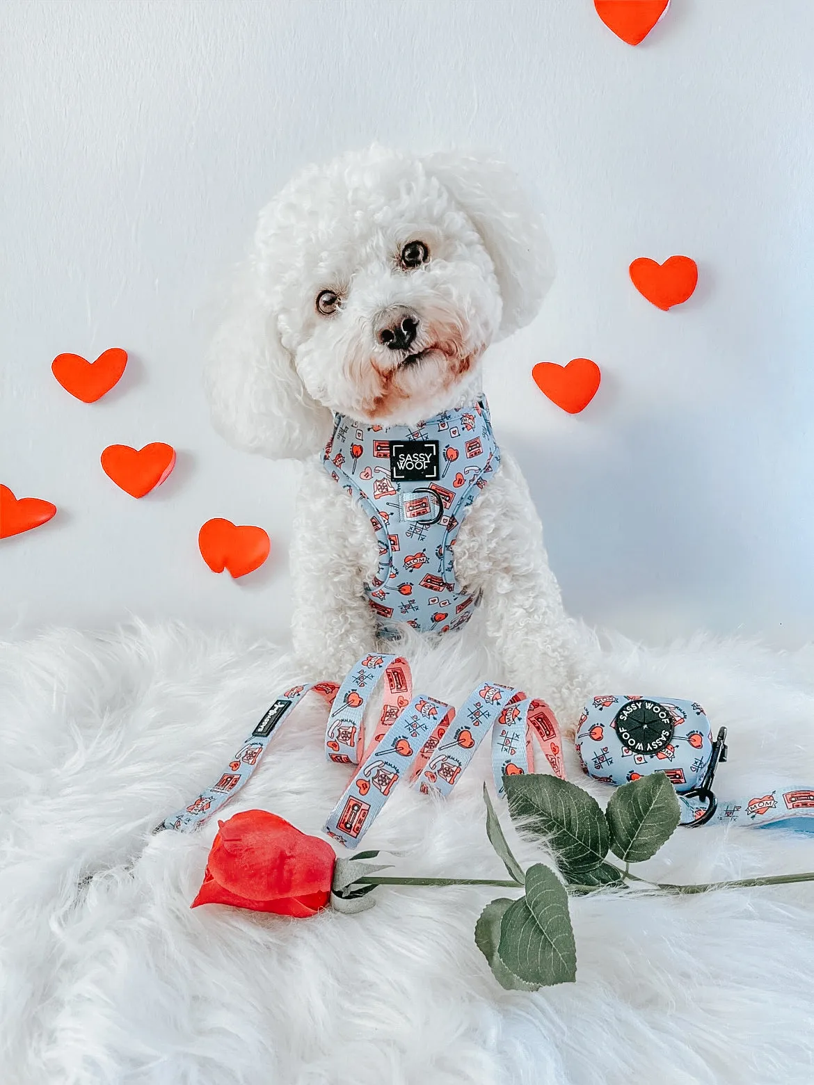 Dog Adjustable Harness - Heartbreaker