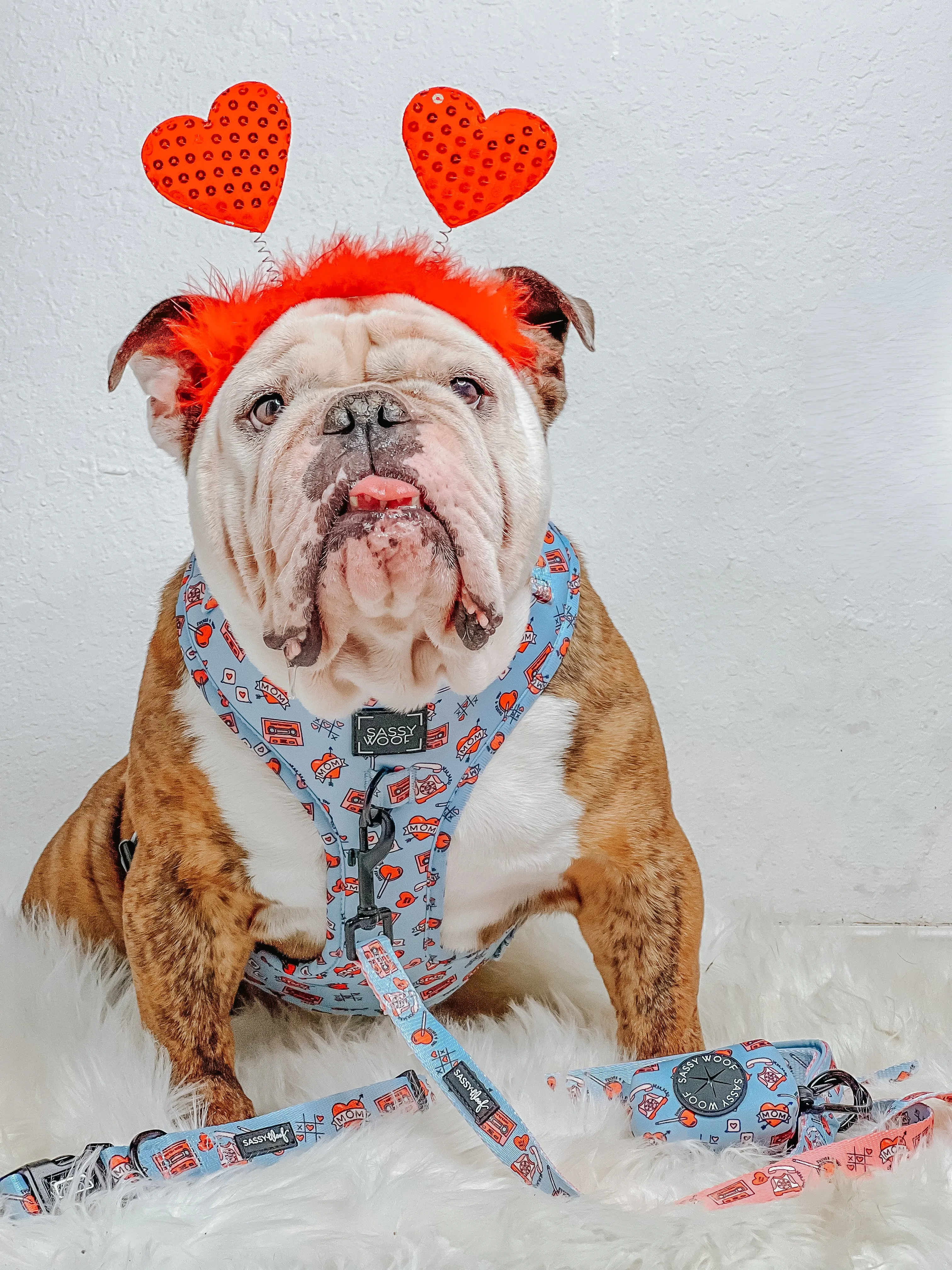 Dog Adjustable Harness - Heartbreaker