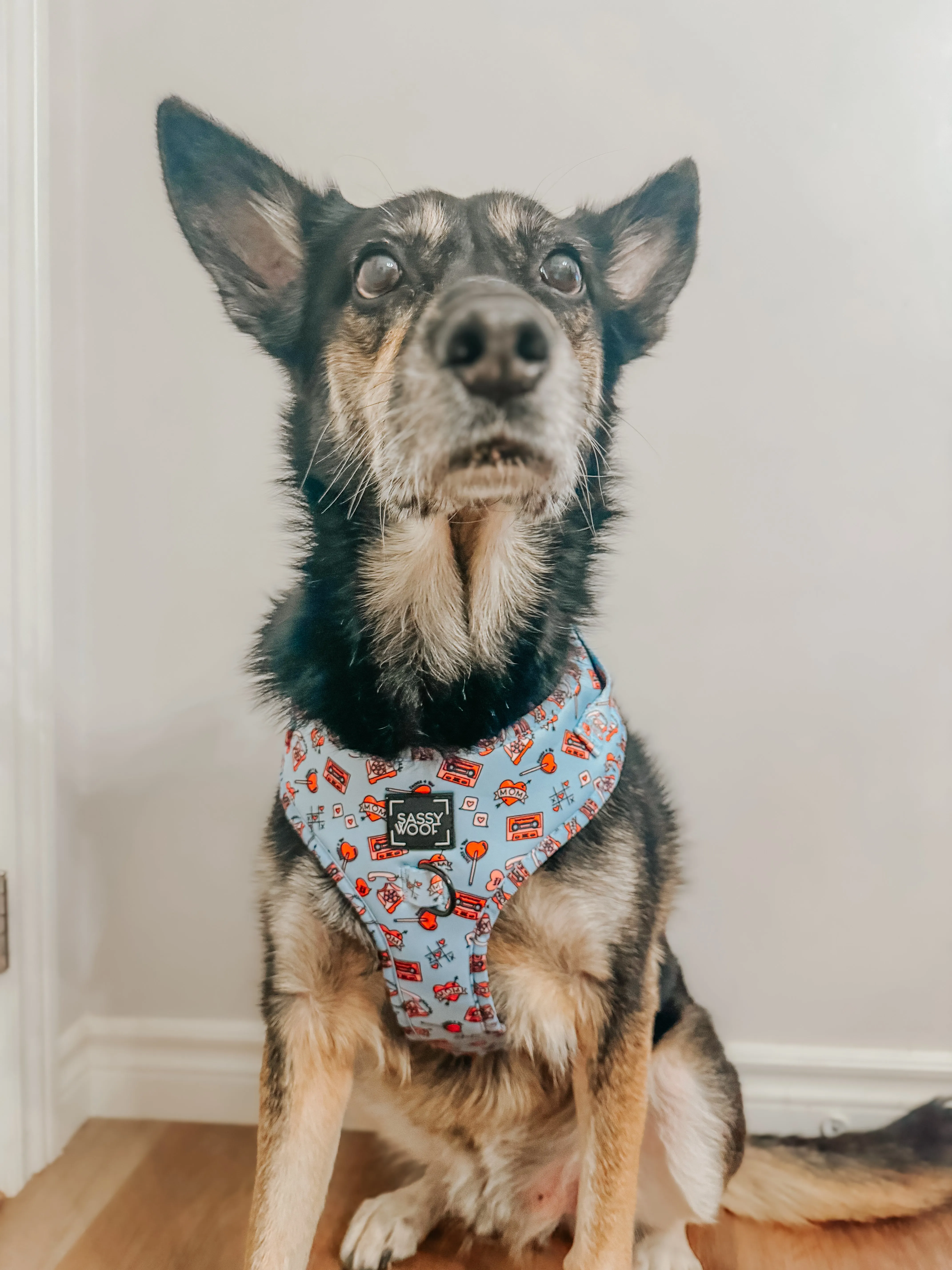 Dog Adjustable Harness - Heartbreaker