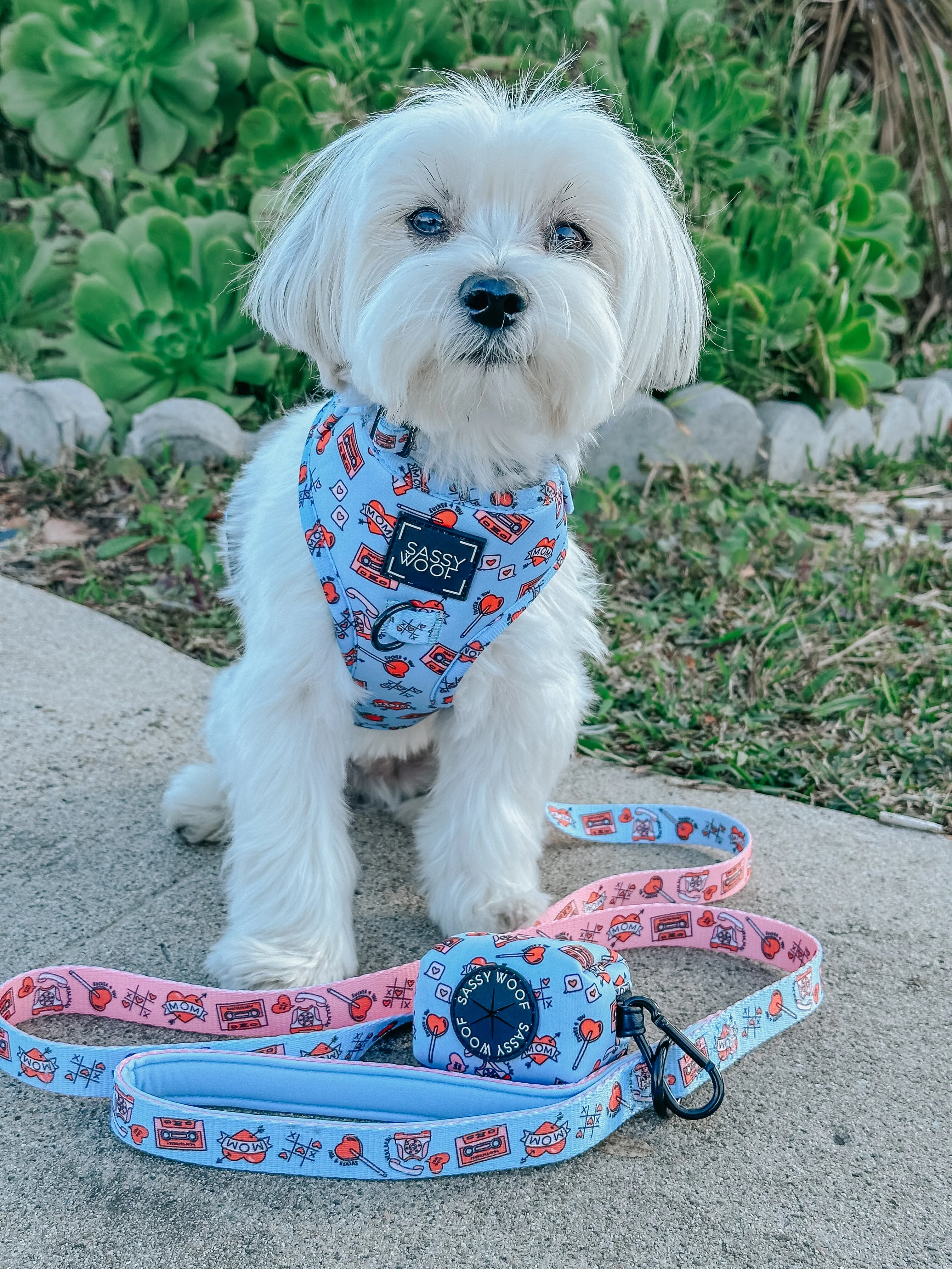 Dog Adjustable Harness - Heartbreaker