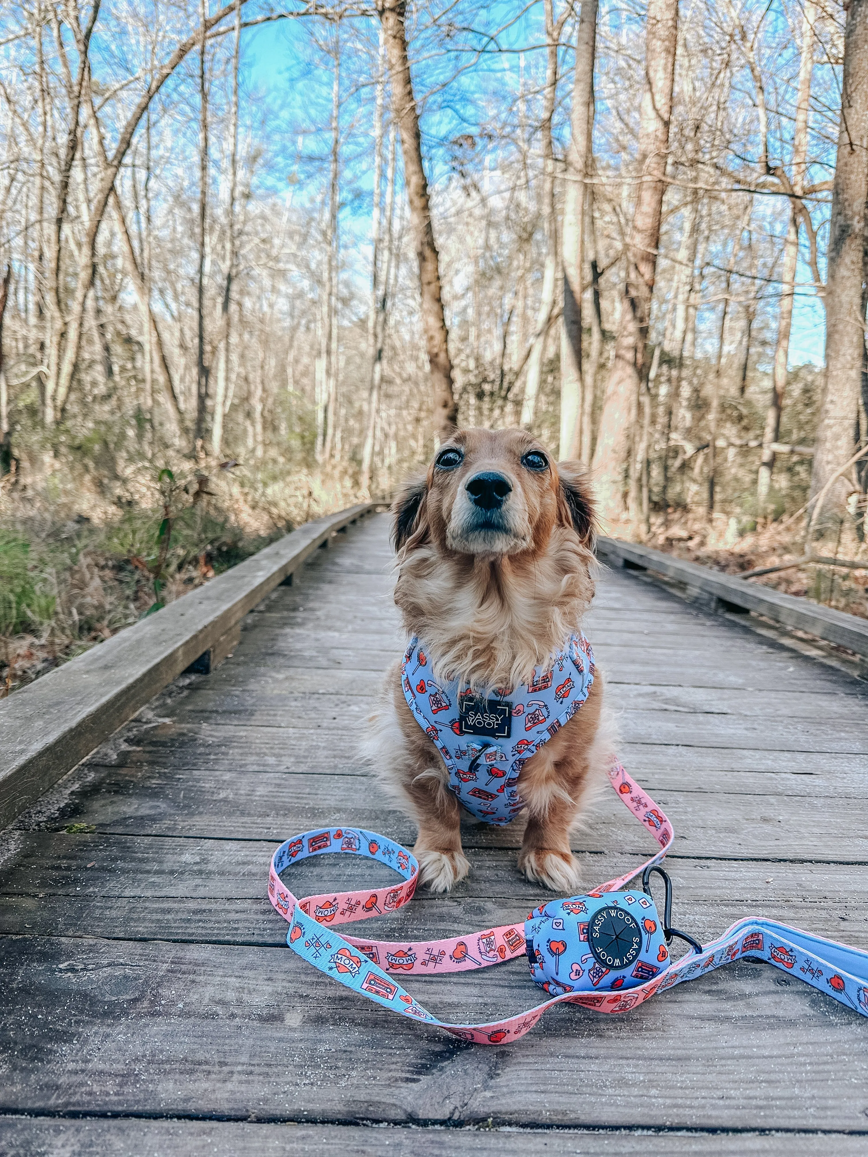 Dog Adjustable Harness - Heartbreaker