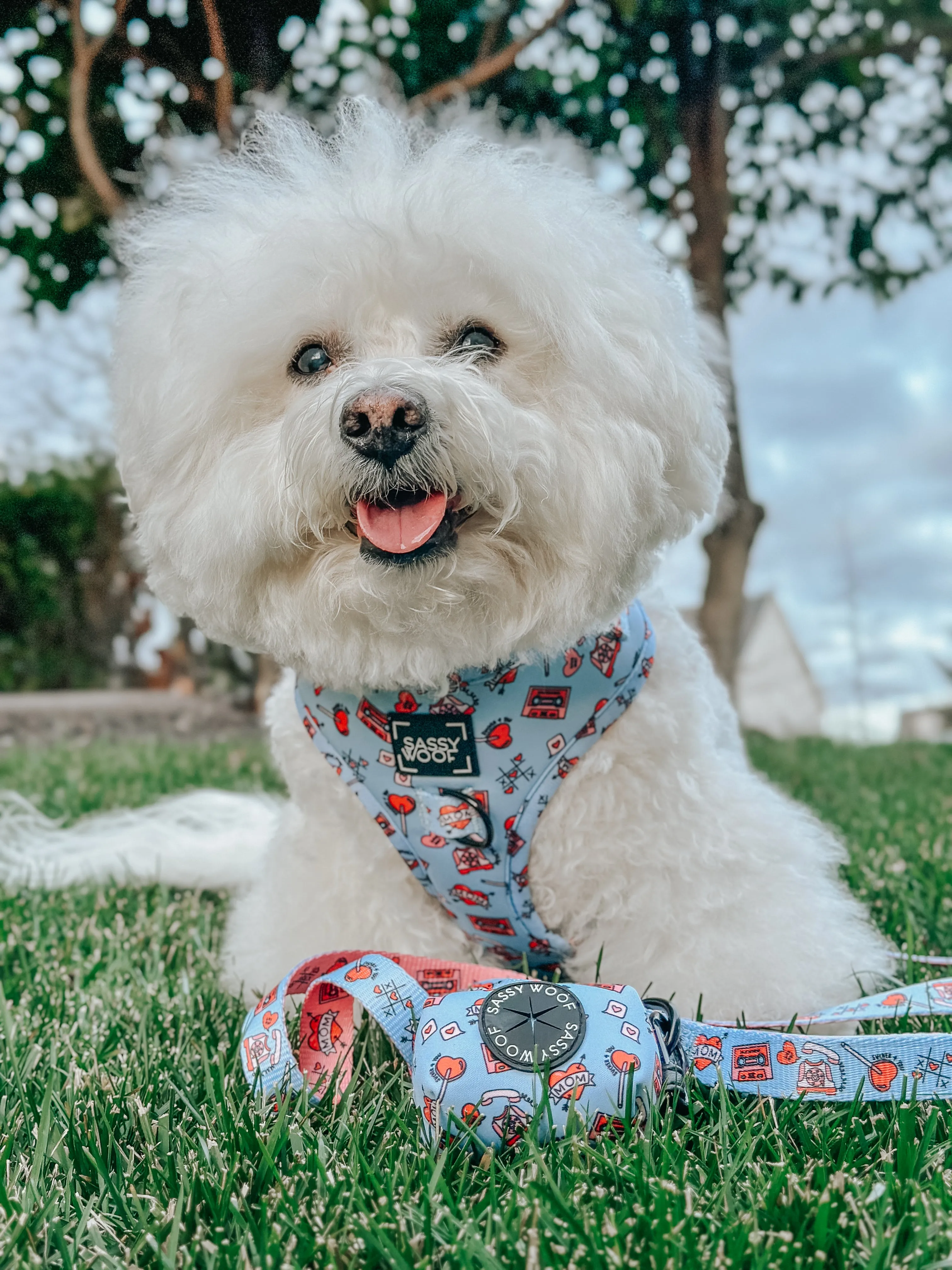 Dog Adjustable Harness - Heartbreaker
