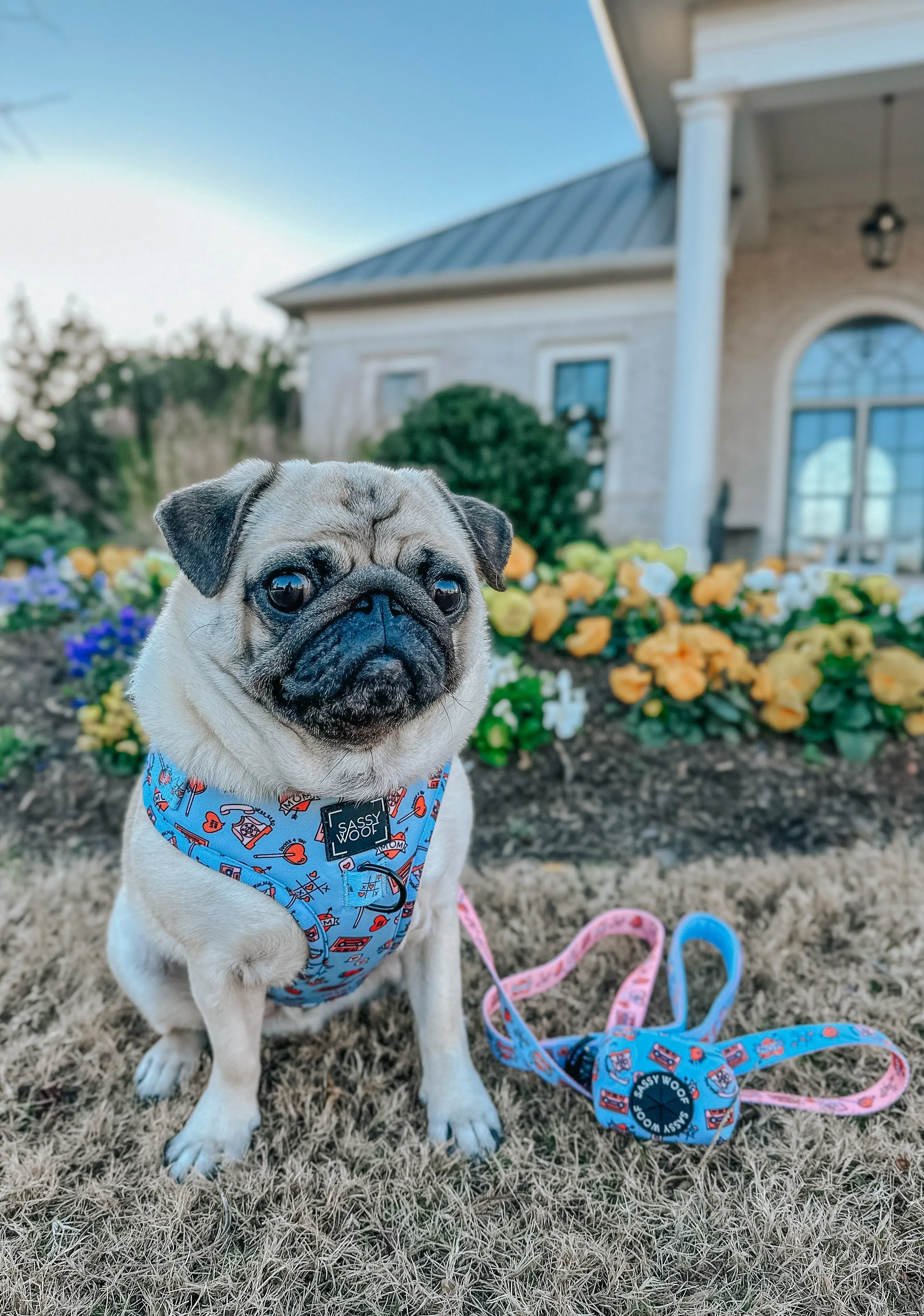 Dog Adjustable Harness - Heartbreaker