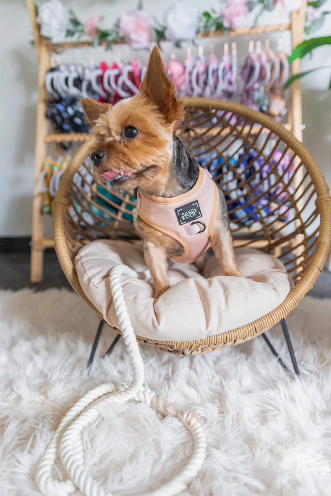 Dog Adjustable Harness - Pinot