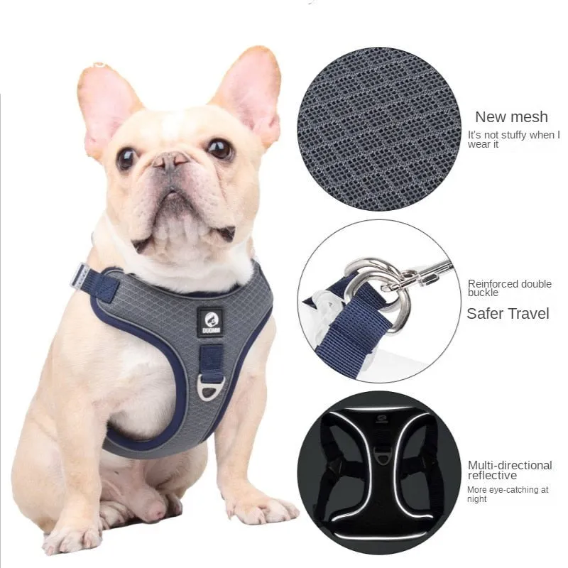 Frenchiekit™ - Adjustable Frenchie Harness Leash Set
