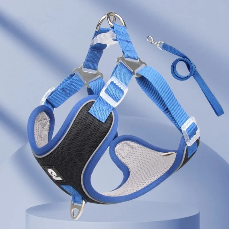 Frenchiekit™ - Adjustable Frenchie Harness Leash Set