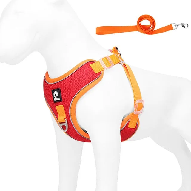 Frenchiekit™ - Adjustable Frenchie Harness Leash Set