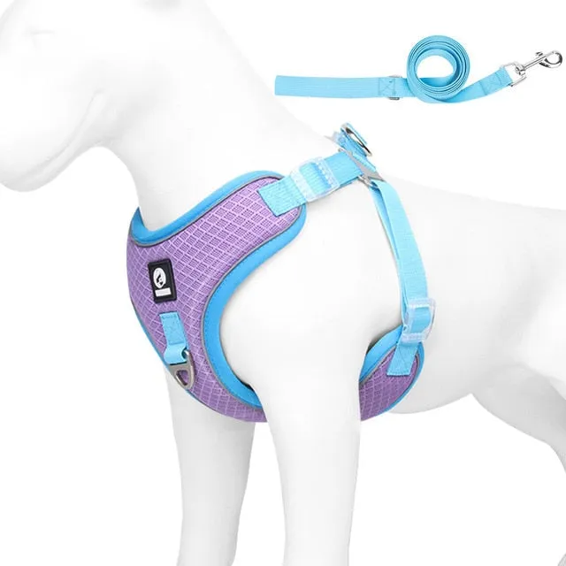 Frenchiekit™ - Adjustable Frenchie Harness Leash Set