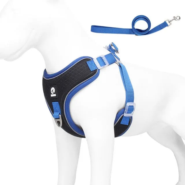 Frenchiekit™ - Adjustable Frenchie Harness Leash Set