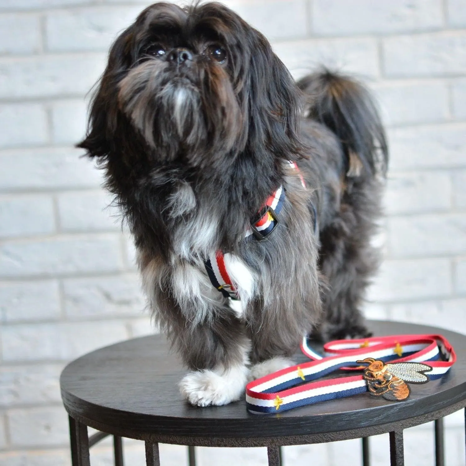 Honey Bunny Sailor's Man Dog Harness and Leash Set