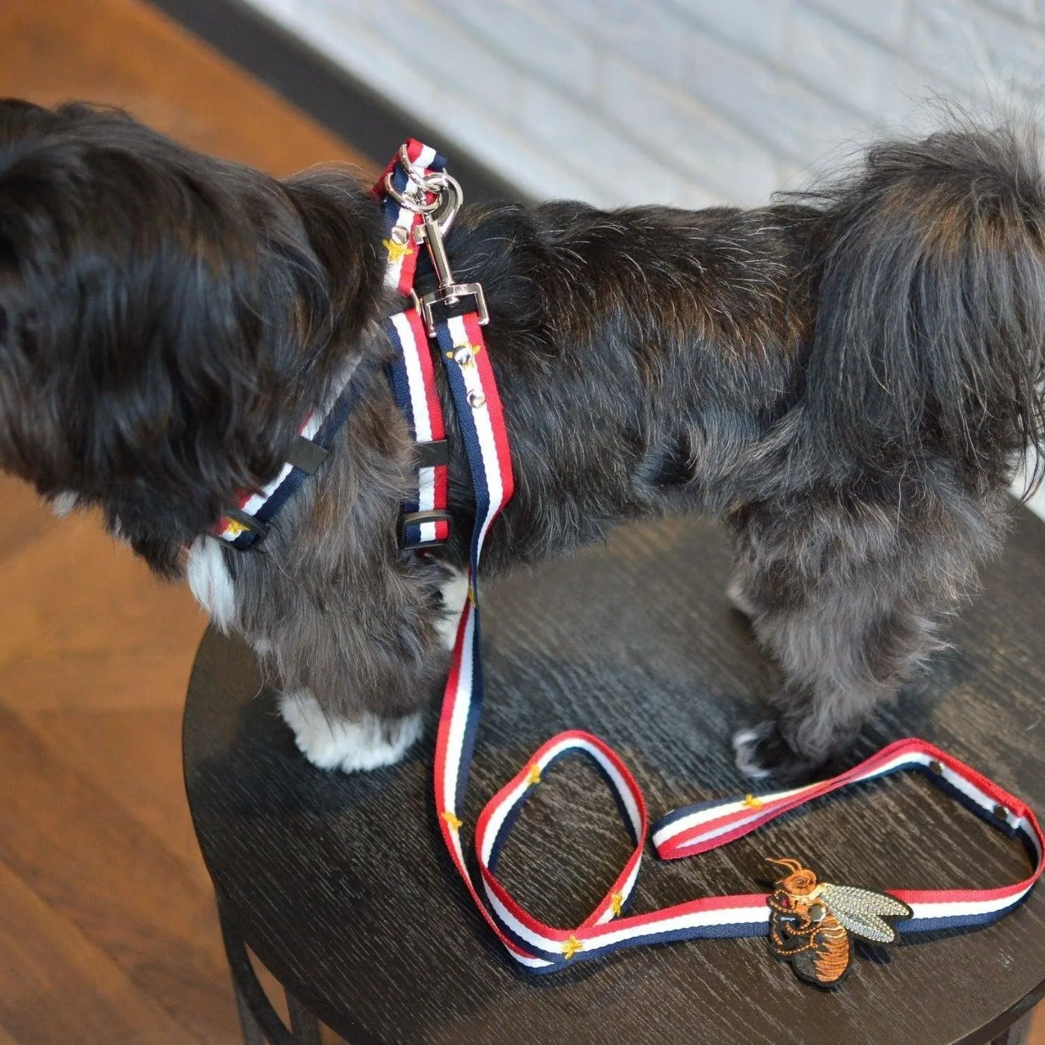 Honey Bunny Sailor's Man Dog Harness and Leash Set