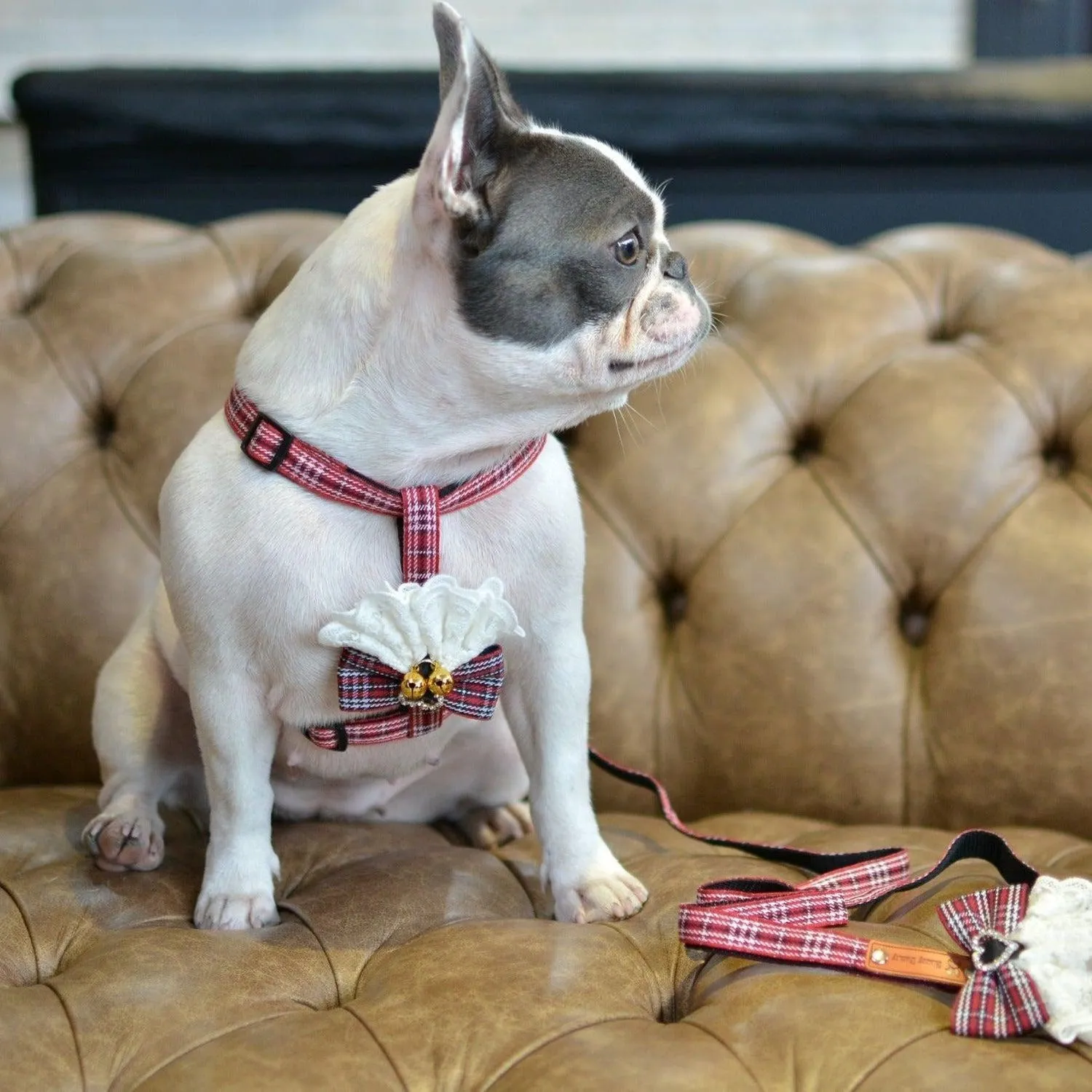 Scottish Bow Tie Dog Harness and Leash Set