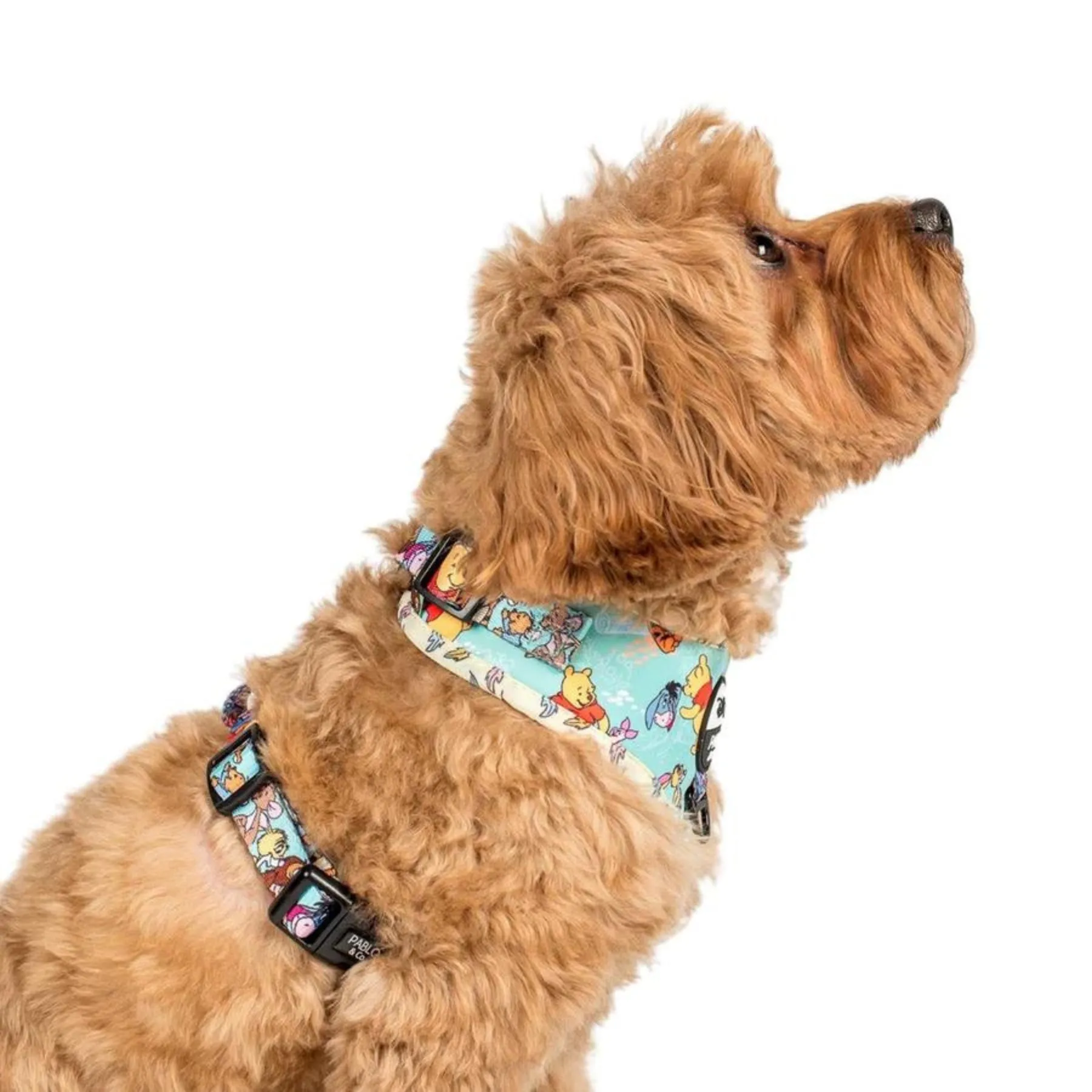 Winnie The Pooh & Forest Friends Adjustable Harness